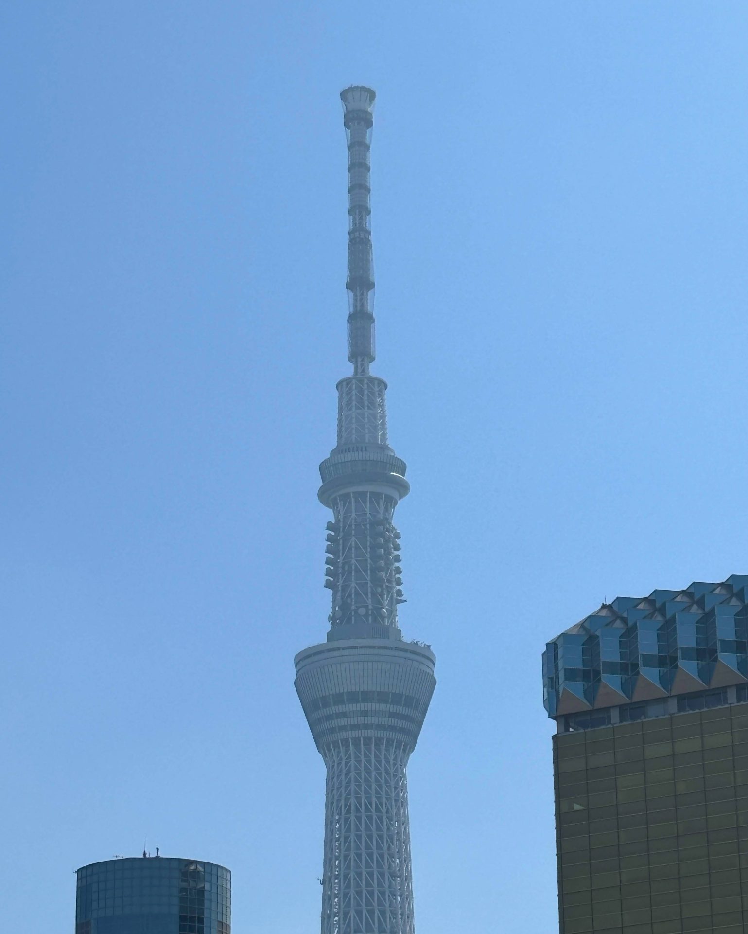 東京スカイツリーを見上げて、空に溶けるひととき